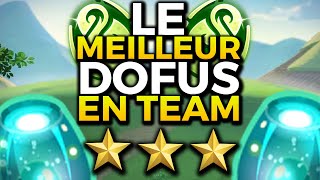 Le MEILLEUR DOFUS en TEAM du JEU