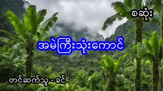 အမဲကြီးသုံးကောင် - စဆုံး