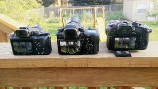 A7R2 Overheating Problem --- A7RII vs NX1 vs GH4 4K test