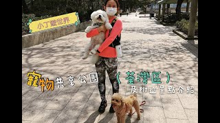 「荃灣區」寵物共享公園🐶🐾及附近景點介紹🌳【小腳掌大世界】