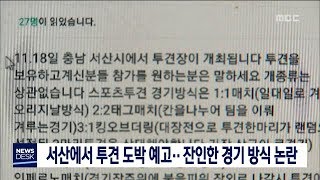 [대전MBC뉴스]서산에서 투견 도박 예고..잔인한 경기 방식 논란