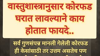 वास्तुशास्त्रानुसार कोरफड घरात लावल्याने काय होतात फायदे #swamianubhav #marathi