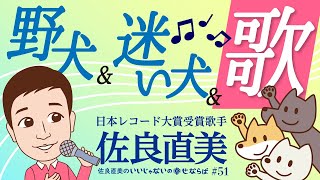 佐良直美　野犬と迷い犬、捨て犬…うーん音楽