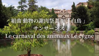 組曲 動物の謝肉祭より 白鳥 第13曲 サンサーンス Le carnaval des animaux Le cygne Saint-Saëns オルガン BGM リラックス 癒し 耐久 睡眠