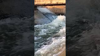 Padma #shorts #trending #viralvideo #padma #waterfall #heavyfloods #canal