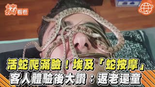 活蛇爬滿臉!埃及「蛇按摩」 客人體驗後大讚:返老還童｜TVBS新聞｜擠看看