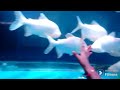 under water tunnel big fish ongole exhibition venkatvanivlogs