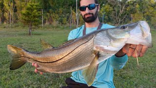 Pond hopping for SNOOK & BASS