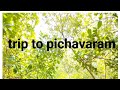 TRIP TO PICHAVARAM MANGROVE FOREST | Tamil Nadu | WORLD'S SECOND LARGEST MANGROVE FOREST |