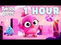 One Hour of Stella! | Angry Birds Adventure