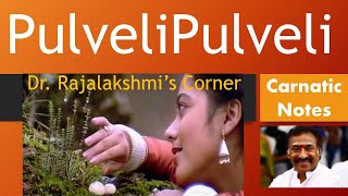 Pulveli Pulveli | Aasai | Deva | Chitra | Carnatic Notes | Veena Tutorial | Swarams | DrRajalakshmi