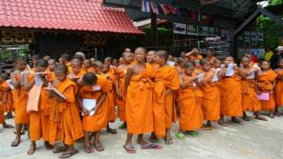 The leaf of one tree สามเณรภาคฤดูร้อน รุ่น ๑๑ วัดประชุมศึกษา