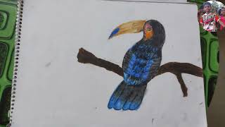 TOUCAN DRAWING | TOUCAN COLOURING | TOUCAN SHADING |  BIRD DRAWING | OIL PASTEL COLOURING | KIDS ART
