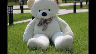 Joyfay Giant Teddy Bear 78\