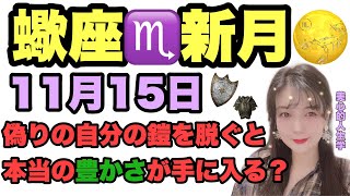 11月15日蠍座♏️新月🌕偽りの自分の【鎧】を脱ぎ捨てて本当の自分で生きよう！最大の豊かさを受け取る時！あなたが求める豊かさはどんな豊かさなの？【美心的人生学】