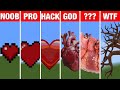 NOOB VS PRO VS HACKER Minecraft Pixel art✨Heart