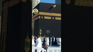 Islamic Status || Jummah Mubarak || Makkah Live || Islamic Video's || Islamic WhatsApp status,(3)