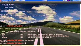 Reflective DLL Injection Metasploit Module