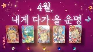 [타로/4월🔮] 4월, 내게 다가올 운명 (4월 종합운)