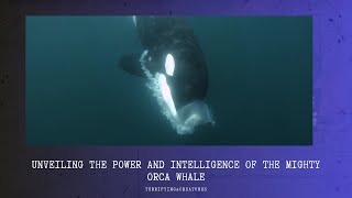 Unveiling the Power and Intelligence of the Mighty Orca Whale