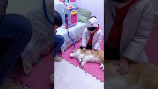 Choti Doctor Sahiba Funny Videos 😲| #shorts #youtubeshorts