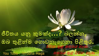 164 ජීවිතය යනු කුමක්ද...?  බලන්න, ඔබ තුළින්ම ගොඩනැගෙනා පිළිතුර...- (1 කොටස) - 2021.07.23