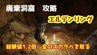 経験値1.2倍！　金のスカラベを取るカンタンなやり方　エルデンリング廃棄洞窟攻略