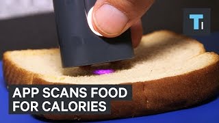 App scans food for calories