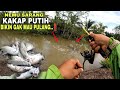 NEMU SARANG KAKAP PUTIH DI SPOT BARU BIKIN GAK MAU PULANG MANCING BOSS KU