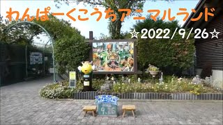 わんぱーくこうちアニマルランドに行ってきた😆　2022/9/26