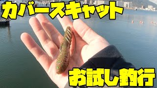 【お試し】デプスのカバースキャットの使い方動画を見てマネしてみた感想