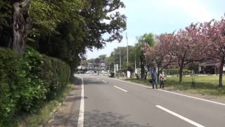 JR東日本｢駅からハイキング｣　直江津駅(いつでもコース)　2014/05/04