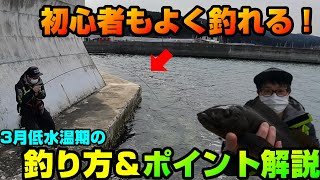 【根魚ワーム】低水温期の堤防の浅瀬で初心者でも根魚を釣る方法＆釣れる場所を解説！