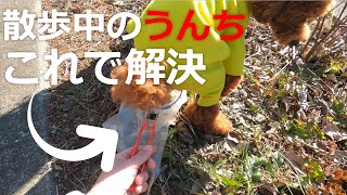 【ワンキャッチ】散歩中に犬のうんちをキャッチ！便利なグッズみつけました