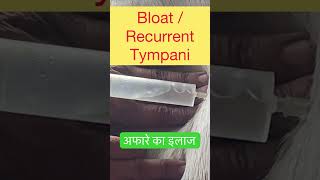 Recurrent Tympani l Bloat l dr Umar Khan