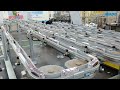 modu conveyors in a glance