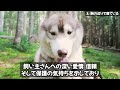 犬の寝ている位置でわかる飼い主への気持ち