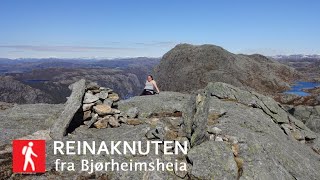 Reinaknuten (787 moh), Strand/Hjelmeland kommuner