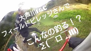 【大芦川F\u0026Cフィールドビレッジさん】リニューアルオープンで✨モンスター釣っちゃった🤣