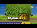 మన్యం పసుపుకు భారీ డిమాండ్ huge demand for turmeric crop matti manishi 10tv news