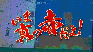 ～春のでっかい魚祭り～【釣りビジョン番組紹介】