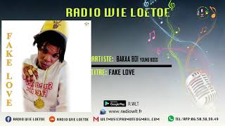 BAKAA BOI (YOUNG BOSS)-FAKE LOVE