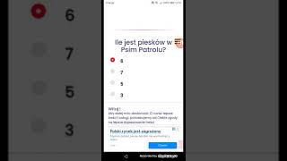 zestaw pytań 2 testy psi patrol 10 11 i jakim pieskiem jesteś