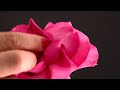 How to reflex roses?