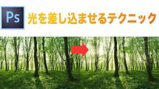 【Photoshop】風景写真に光を差し込ませるテクニック