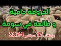 الخروفة حامية بزاف سوق بوقطب الثلاثاء 17 سبتمبر 2024