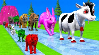 Paint \u0026 Animals Cow,Monkey,Pig,Rabbit,Lion,Elephant Fountain Crossing Transformation Animal Cartoon