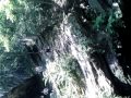 Devils pool
