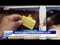 115 bin kurbanlık alıcısını bekliyor diyarbakır canlı hayvan borsası agro tv haber