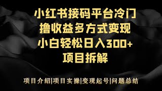 小红书接码平台冷门撸收益多种方式变现项目拆解